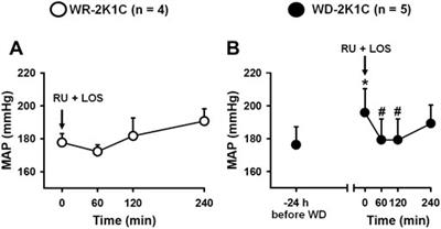 ANG II and Aldosterone Acting Centrally Participate in the Enhanced Sodium Intake in Water-Deprived Renovascular Hypertensive Rats